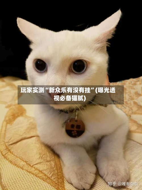 玩家实测“新众乐有没有挂”(曝光透视必备猫腻)-第2张图片