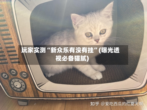 玩家实测“新众乐有没有挂”(曝光透视必备猫腻)