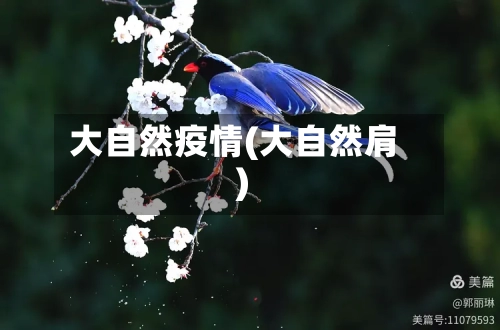 大自然疫情(大自然肩)-第2张图片