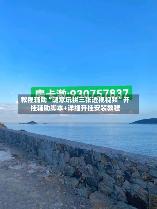 教程辅助“随意玩拼三张透视视频”开挂辅助脚本+详细开挂安装教程