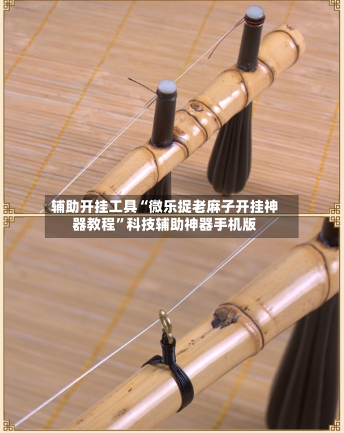 辅助开挂工具“微乐捉老麻子开挂神器教程”科技辅助神器手机版-第2张图片