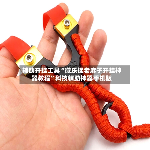 辅助开挂工具“微乐捉老麻子开挂神器教程”科技辅助神器手机版-第3张图片