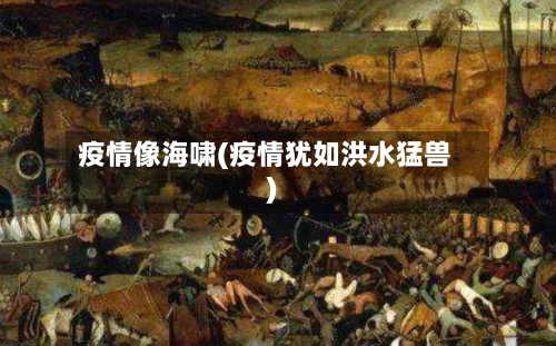 疫情像海啸(疫情犹如洪水猛兽)-第2张图片