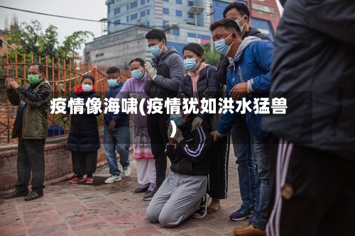 疫情像海啸(疫情犹如洪水猛兽)-第3张图片