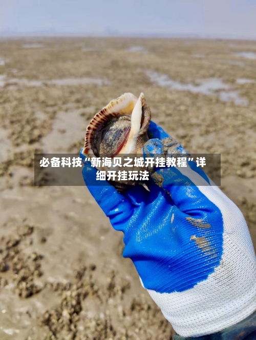 必备科技“新海贝之城开挂教程”详细开挂玩法-第1张图片