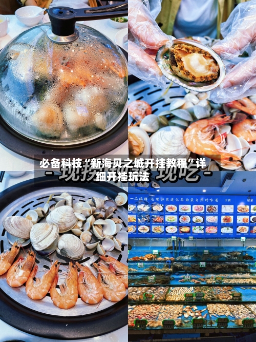 必备科技“新海贝之城开挂教程”详细开挂玩法-第2张图片