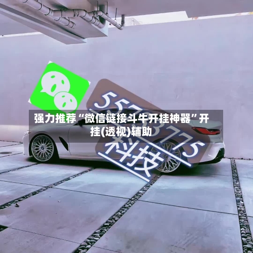 强力推荐“微信链接斗牛开挂神器	”开挂(透视)辅助-第2张图片