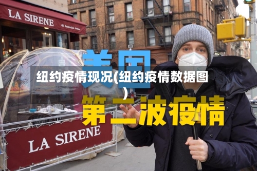 纽约疫情现况(纽约疫情数据图)