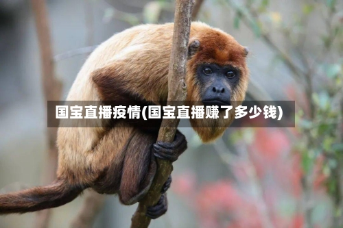 国宝直播疫情(国宝直播赚了多少钱)-第1张图片