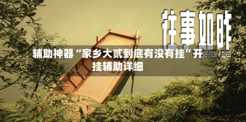 辅助神器“家乡大贰到底有没有挂”开挂辅助详细-第2张图片