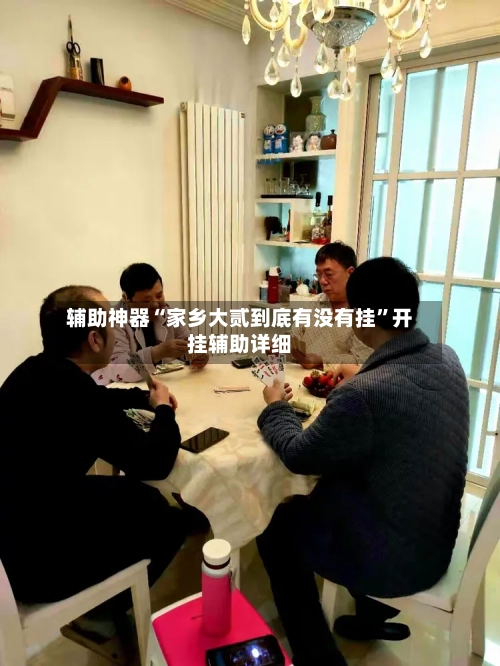 辅助神器“家乡大贰到底有没有挂”开挂辅助详细-第3张图片