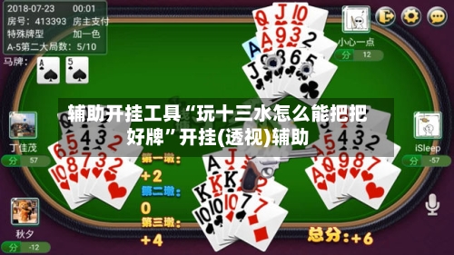辅助开挂工具“玩十三水怎么能把把好牌”开挂(透视)辅助-第2张图片