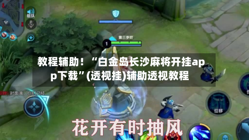 教程辅助！“白金岛长沙麻将开挂app下载”(透视挂)辅助透视教程