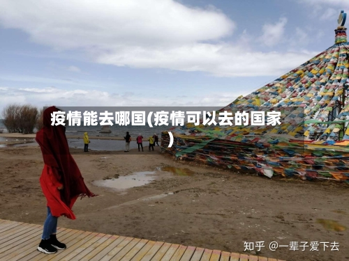疫情能去哪国(疫情可以去的国家)