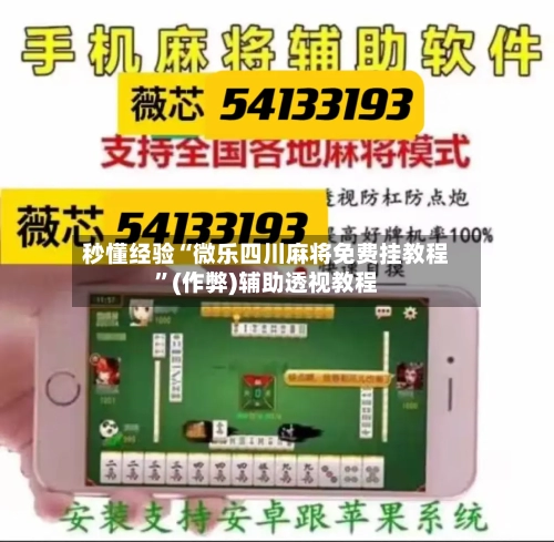 秒懂经验“微乐四川麻将免费挂教程”(作弊)辅助透视教程