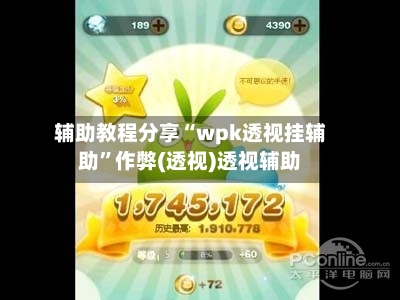 辅助教程分享“wpk透视挂辅助”作弊(透视)透视辅助-第2张图片