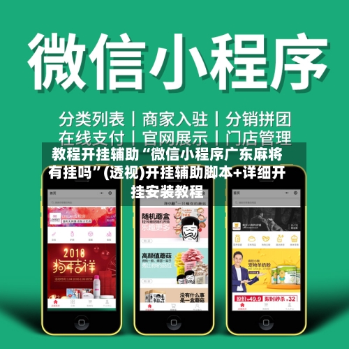 教程开挂辅助“微信小程序广东麻将有挂吗”(透视)开挂辅助脚本+详细开挂安装教程