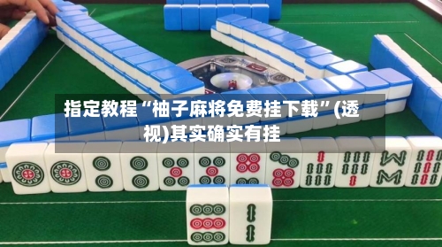 指定教程“柚子麻将免费挂下载	”(透视)其实确实有挂-第2张图片