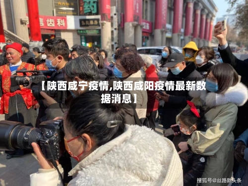 【陕西咸宁疫情,陕西咸阳疫情最新数据消息】-第2张图片