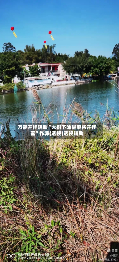 万能开挂辅助“大树下汕尾麻将开挂器”作弊(透视)透视辅助-第1张图片