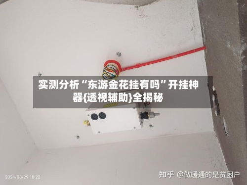 实测分析“东游金花挂有吗”开挂神器{透视辅助}全揭秘-第2张图片