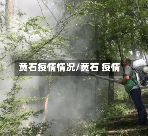 黄石疫情情况/黄石 疫情-第1张图片