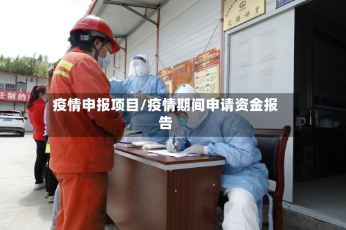 疫情申报项目/疫情期间申请资金报告