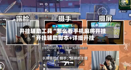 开挂辅助工具“怎么看手机麻将开挂”开挂辅助脚本+详细开挂-第2张图片