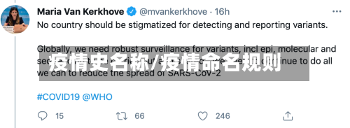 疫情史名称/疫情命名规则-第2张图片