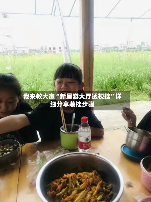 我来教大家“新星游大厅透视挂”详细分享装挂步骤-第2张图片