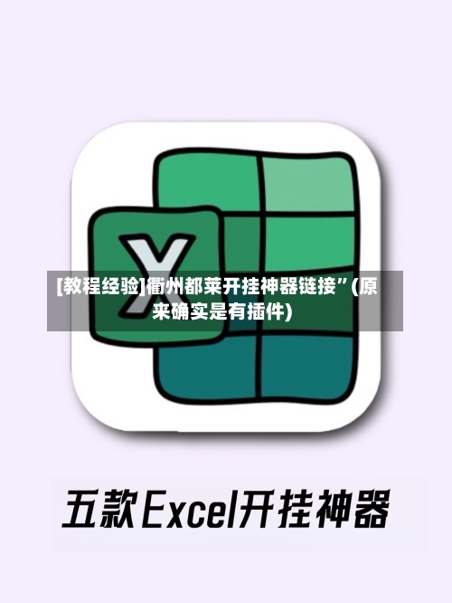 [教程经验]衢州都莱开挂神器链接”(原来确实是有插件)-第3张图片