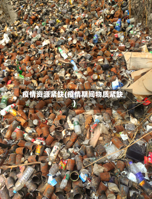 疫情资源紧缺(疫情期间物质紧缺)-第2张图片