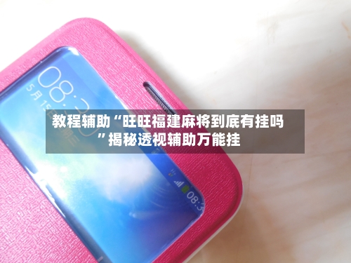 教程辅助“旺旺福建麻将到底有挂吗	”揭秘透视辅助万能挂-第2张图片