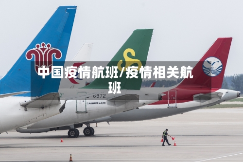 中国疫情航班/疫情相关航班
