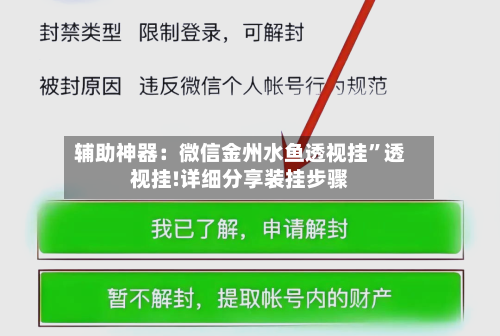 辅助神器：微信金州水鱼透视挂”透视挂!详细分享装挂步骤-第2张图片
