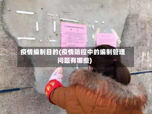 疫情编制目的(疫情防控中的编制管理问题有哪些)-第2张图片