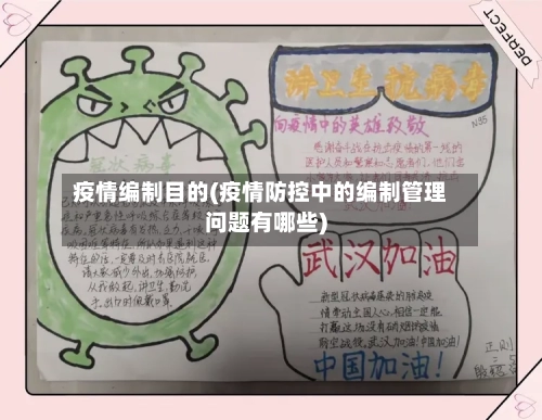 疫情编制目的(疫情防控中的编制管理问题有哪些)