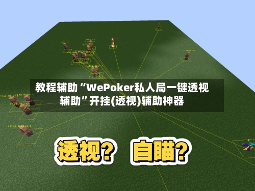 教程辅助“WePoker私人局一键透视辅助”开挂(透视)辅助神器-第3张图片