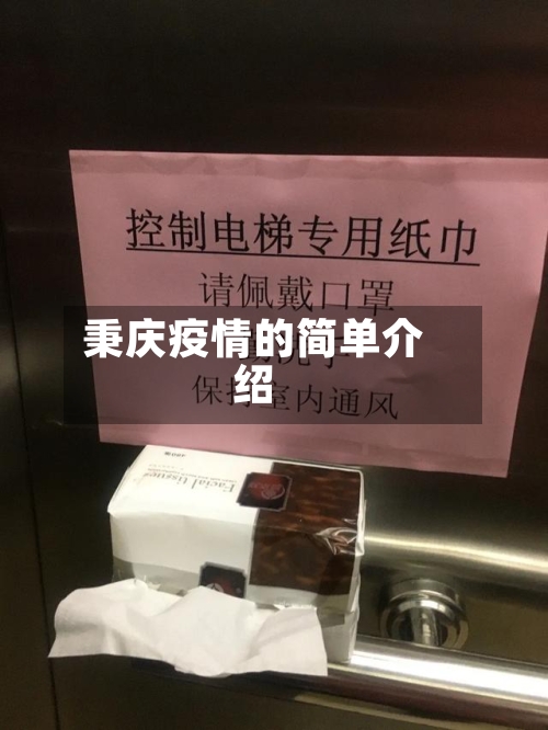 秉庆疫情的简单介绍-第2张图片