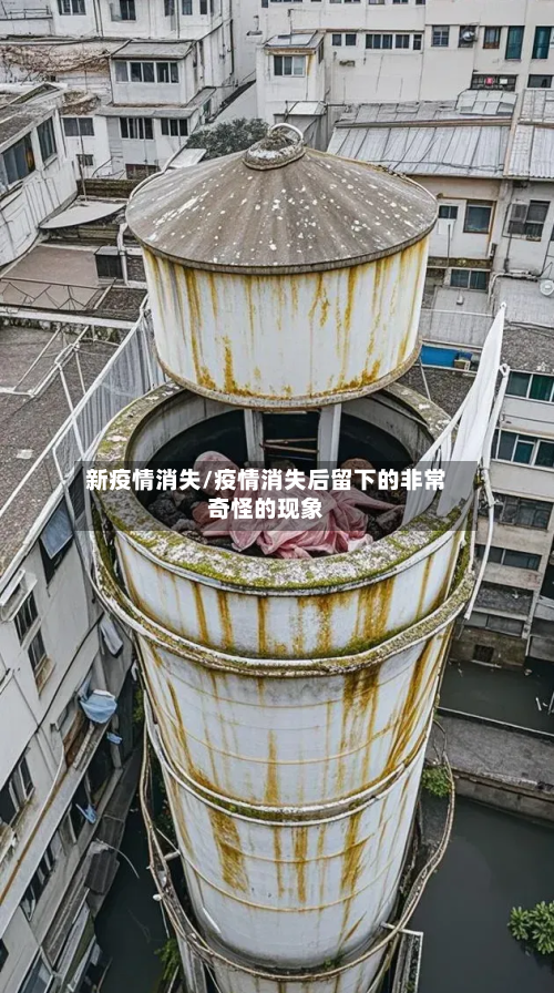 新疫情消失/疫情消失后留下的非常奇怪的现象