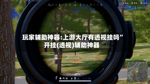 玩家辅助神器:上游大厅有透视挂吗	”开挂(透视)辅助神器-第2张图片