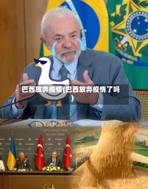 巴西放弃疫情(巴西放弃疫情了吗)