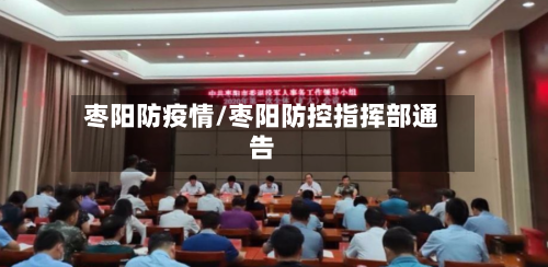 枣阳防疫情/枣阳防控指挥部通告-第2张图片