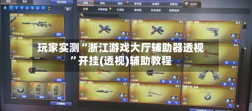 玩家实测“浙江游戏大厅辅助器透视”开挂(透视)辅助教程-第2张图片