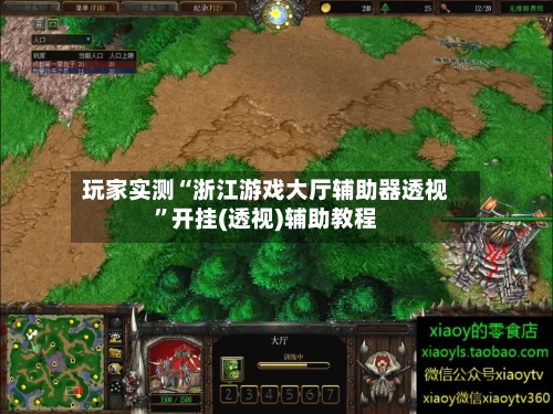 玩家实测“浙江游戏大厅辅助器透视”开挂(透视)辅助教程-第1张图片