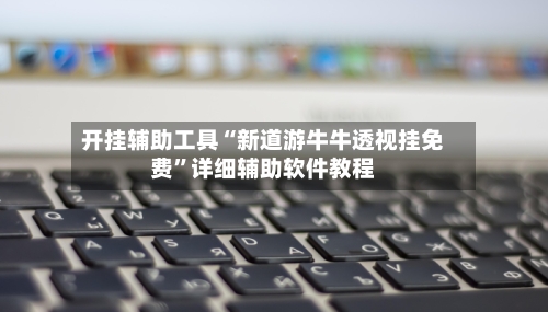 开挂辅助工具“新道游牛牛透视挂免费”详细辅助软件教程-第2张图片