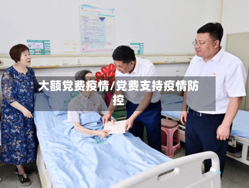 大额党费疫情/党费支持疫情防控