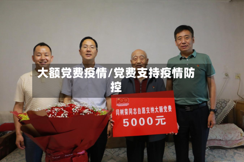 大额党费疫情/党费支持疫情防控-第2张图片