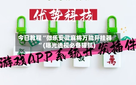 今日教程“微乐安徽麻将万能开挂器”(曝光透视必备猫腻)-第2张图片