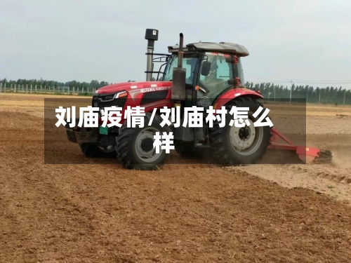 刘庙疫情/刘庙村怎么样-第2张图片